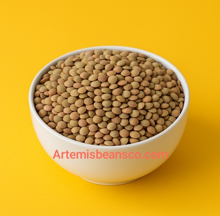 قیمت خرید عدس روس مرغوب
